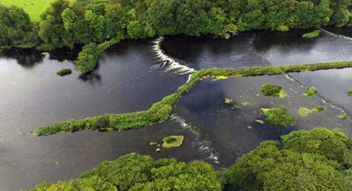 Shannon Flood Risk Group planning strategic maintenance works