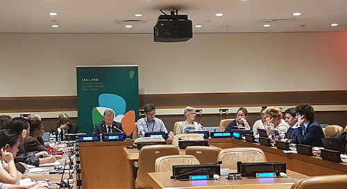 REPRESENTING IRELAND AT THE UNITED NATIONS HIGH LEVEL POLITICAL FORUM