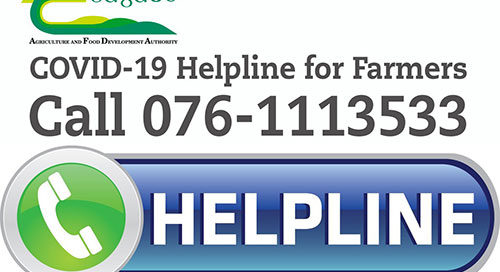 COVID-19 TEAGASC HELPLINE