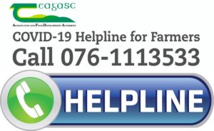 COVID-19 TEAGASC HELPLINE