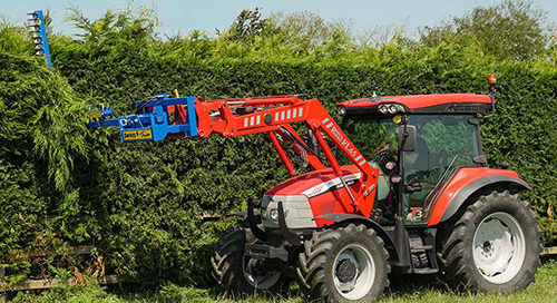 Hedge Trimming clarification received from Department