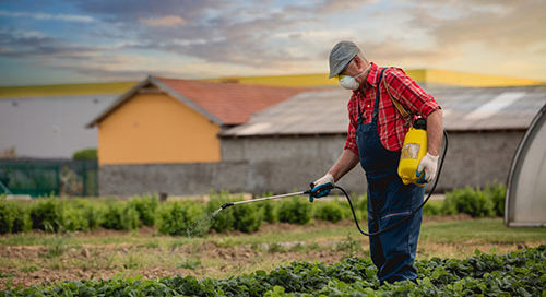 Think twice about pesticide use