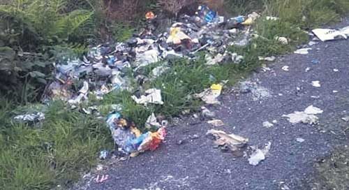 Urges the Minister for Environment to fast-track legislation to use CCTV in detecting and prosecuting illegal dumping