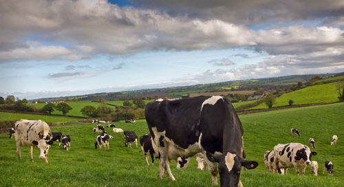 Farming needs support if family farms are to survive