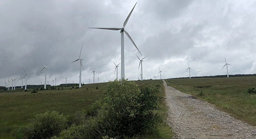 Calls on Government to take over Derrybrien Wind Farm in the interest of security of electricity supply